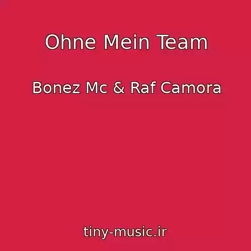کاور آهنگ Ohne Mein Team از Bonez Mc & Raf Camora
