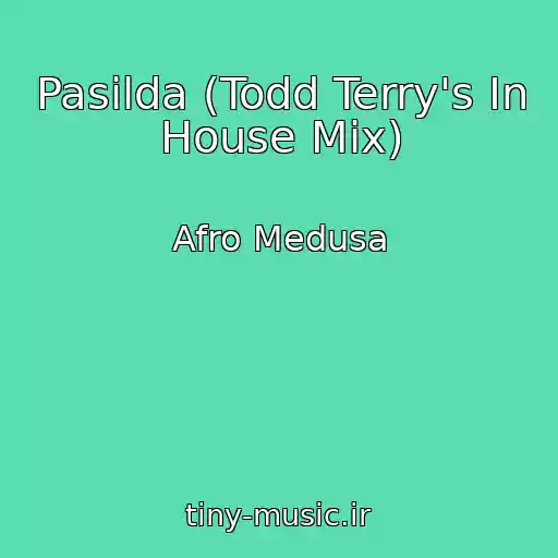 کاور آهنگ Pasilda (Todd Terry's In House Mix) از Afro Medusa