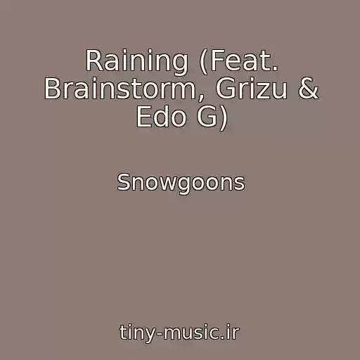 کاور آهنگ Raining (Feat. Brainstorm, Grizu & Edo G) از Snowgoons