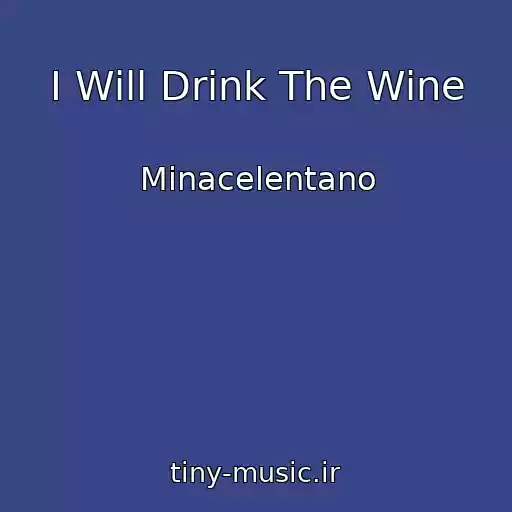 کاور آهنگ I Will Drink The Wine از Minacelentano