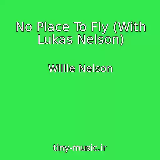 کاور آهنگ No Place To Fly (With Lukas Nelson) از Willie Nelson