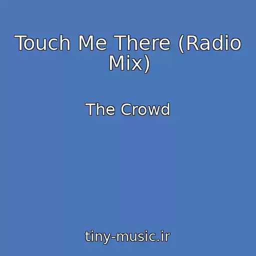 کاور آهنگ Touch Me There (Radio Mix) از The Crowd