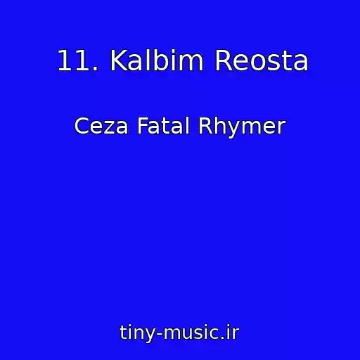 کاور آهنگ 11. Kalbim Reosta از Ceza Fatal Rhymer