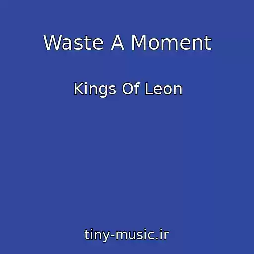 کاور آهنگ Waste A Moment از Kings Of Leon
