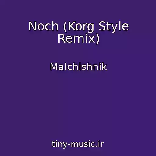 کاور آهنگ Noch (Korg Style Remix) از Malchishnik