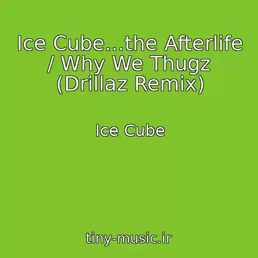 کاور آهنگ Ice Cube...the Afterlife / Why We Thugz (Drillaz Remix) از Ice Cube