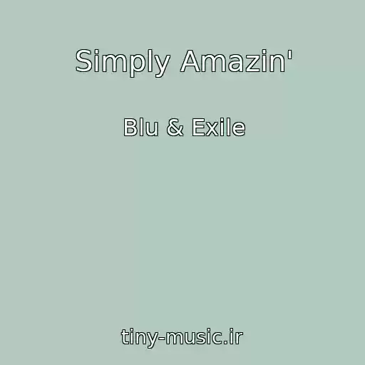کاور آهنگ Simply Amazin' از Blu & Exile