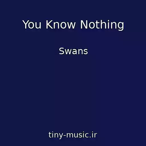 کاور آهنگ You Know Nothing از Swans