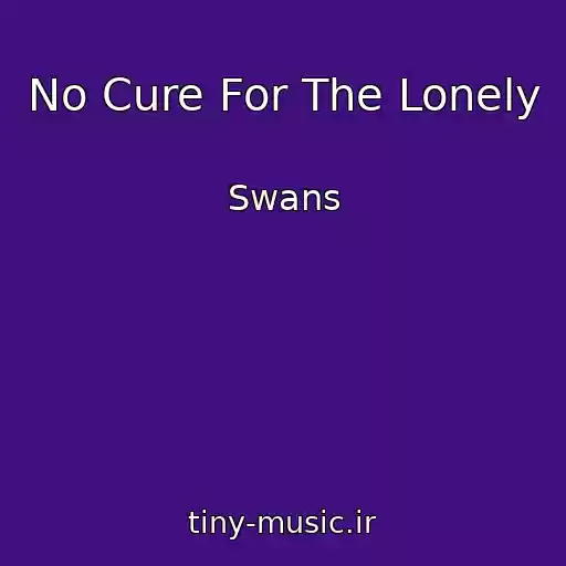 کاور آهنگ No Cure For The Lonely از Swans