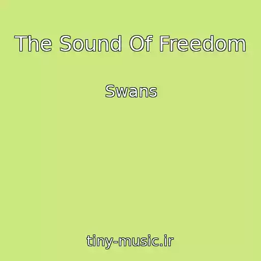 کاور آهنگ The Sound Of Freedom از Swans