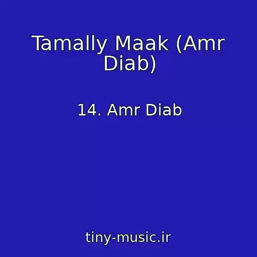 کاور آهنگ Tamally Maak (Amr Diab) از 14. Amr Diab