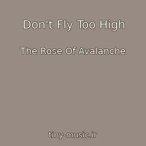کاور آهنگ Don't Fly Too High از The Rose Of Avalanche