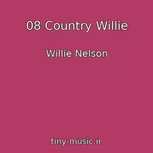 کاور آهنگ 08 Country Willie از Willie Nelson