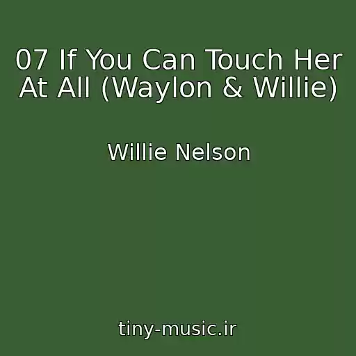 کاور آهنگ 07 If You Can Touch Her At All (Waylon & Willie) از Willie Nelson