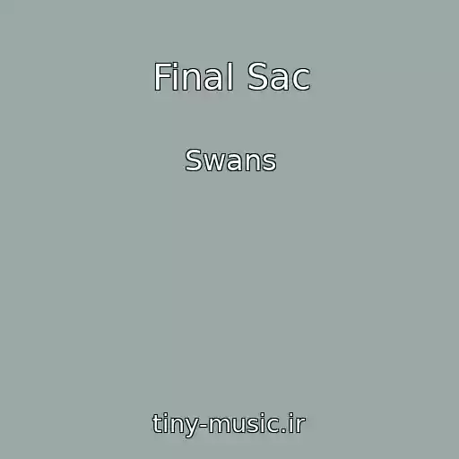 کاور آهنگ Final Sac از Swans