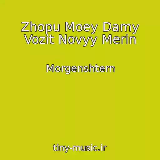کاور آهنگ Zhopu Moey Damy Vozit Novyy Merin از Morgenshtern