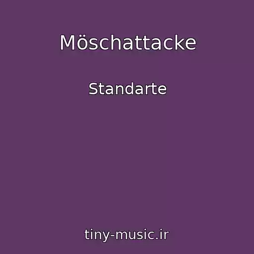 کاور آهنگ Möschattacke از Standarte