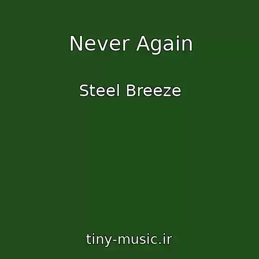 کاور آهنگ Never Again از Steel Breeze