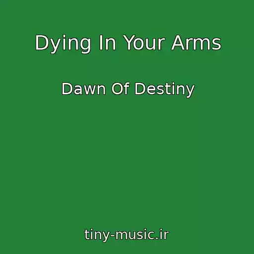 کاور آهنگ Dying In Your Arms از Dawn Of Destiny