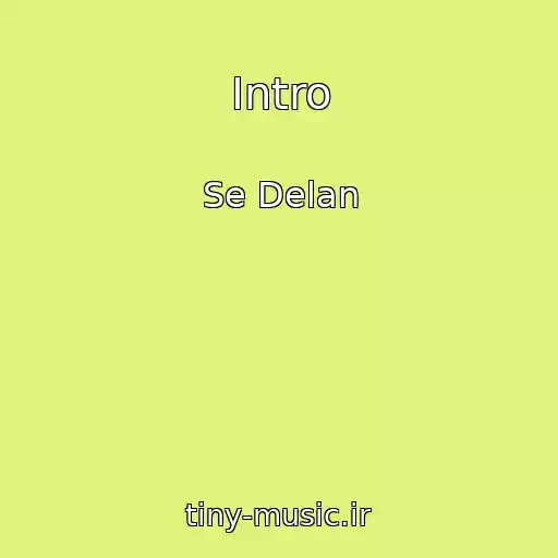 کاور آهنگ Intro از Se Delan