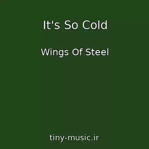 کاور آهنگ It's So Cold از Wings Of Steel