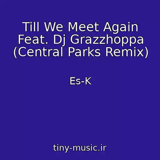 کاور آهنگ Till We Meet Again Feat. Dj Grazzhoppa (Central Parks Remix) از Es-K