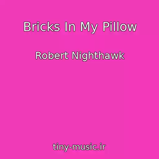 کاور آهنگ Bricks In My Pillow از Robert Nighthawk