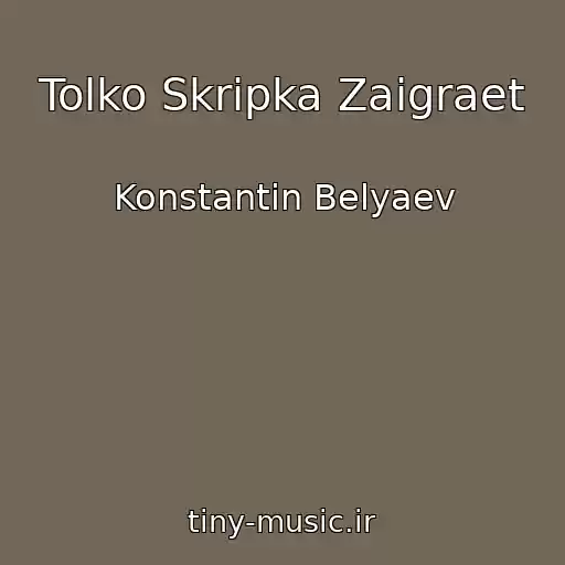 کاور آهنگ Tolko Skripka Zaigraet از Konstantin Belyaev