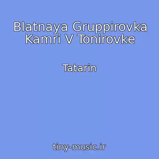 کاور آهنگ Blatnaya Gruppirovka Kamri V Tonirovke از Tatarin
