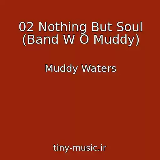 کاور آهنگ 02 Nothing But Soul (Band W O Muddy) از Muddy Waters