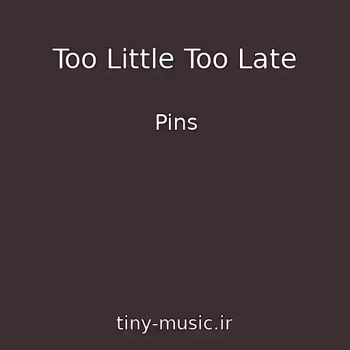 کاور آهنگ Too Little Too Late از Pins