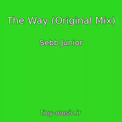 کاور آهنگ The Way (Original Mix) از Sebb Junior