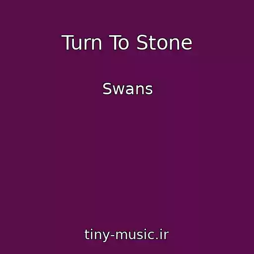 کاور آهنگ Turn To Stone از Swans