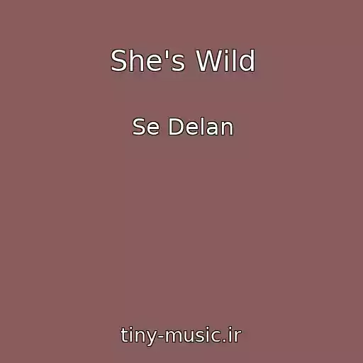 کاور آهنگ She's Wild از Se Delan