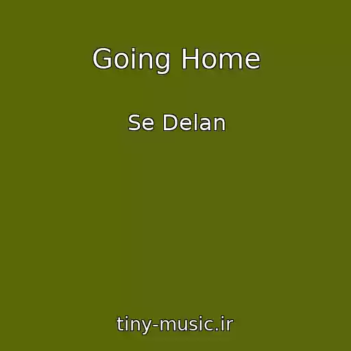 کاور آهنگ Going Home از Se Delan