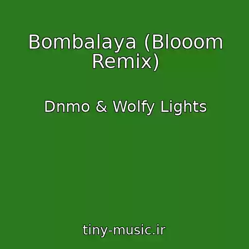 کاور آهنگ Bombalaya (Blooom Remix) از Dnmo & Wolfy Lights
