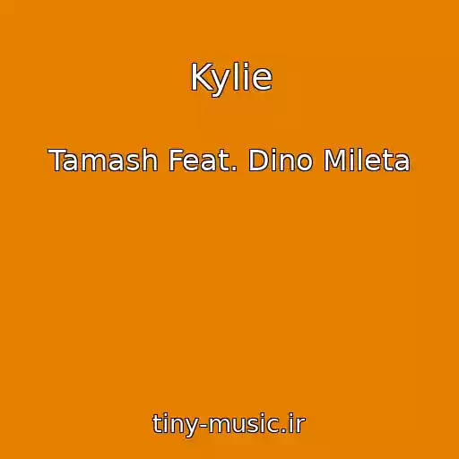 کاور آهنگ Kylie از Tamash Feat. Dino Mileta