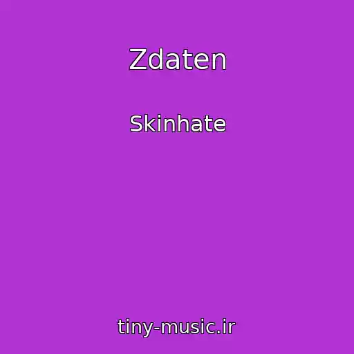 کاور آهنگ Zdaten از Skinhate