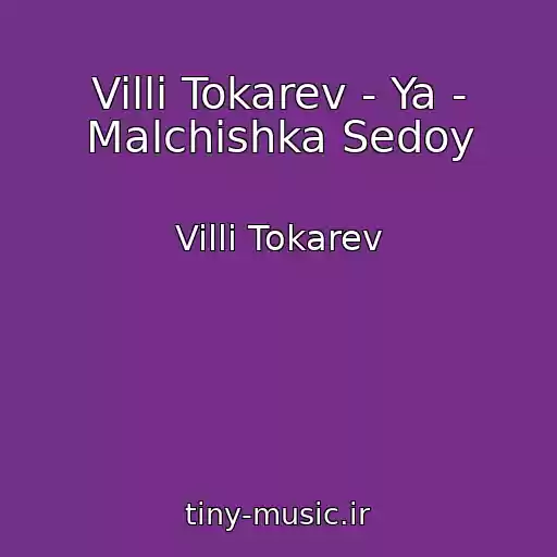 کاور آهنگ Villi Tokarev - Ya - Malchishka Sedoy از Villi Tokarev