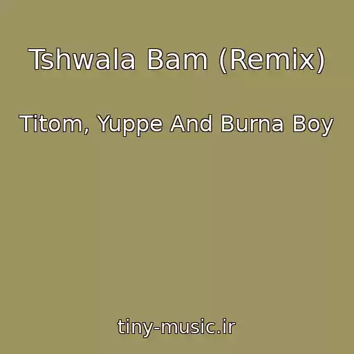 کاور آهنگ Tshwala Bam (Remix) از Titom, Yuppe And Burna Boy