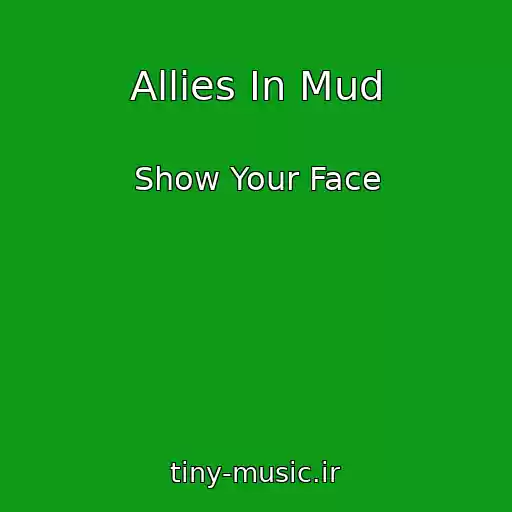 کاور آهنگ Allies In Mud از Show Your Face