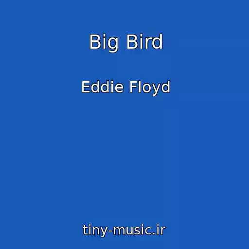 کاور آهنگ Big Bird از Eddie Floyd