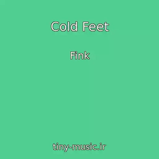 کاور آهنگ Cold Feet از Fink