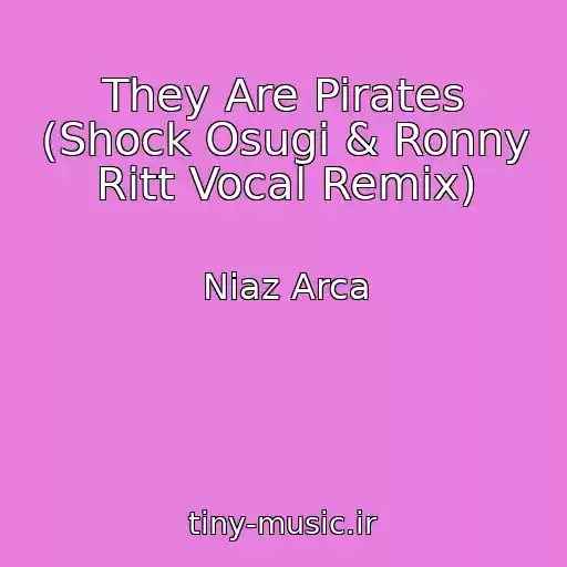 کاور آهنگ They Are Pirates (Shock Osugi & Ronny Ritt Vocal Remix) از Niaz Arca