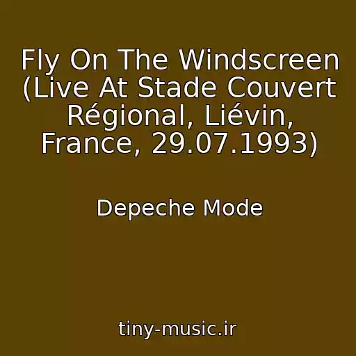 کاور آهنگ Fly On The Windscreen (Live At Stade Couvert Régional, Liévin, France, 29.07.1993) از Depeche Mode