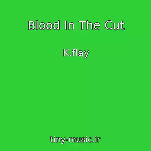 کاور آهنگ Blood In The Cut از K.flay