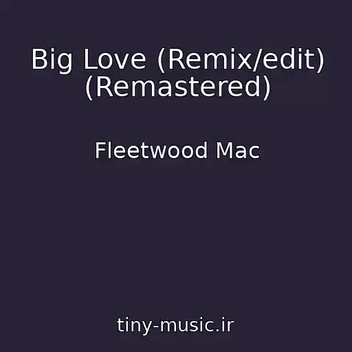 کاور آهنگ Big Love (Remix/edit) (Remastered) از Fleetwood Mac