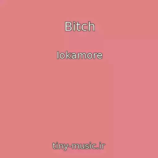 کاور آهنگ Bitch از Iokamore