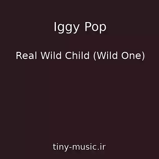 کاور آهنگ Iggy Pop از Real Wild Child (Wild One)