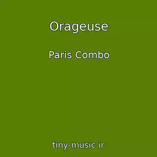 کاور آهنگ Orageuse از Paris Combo